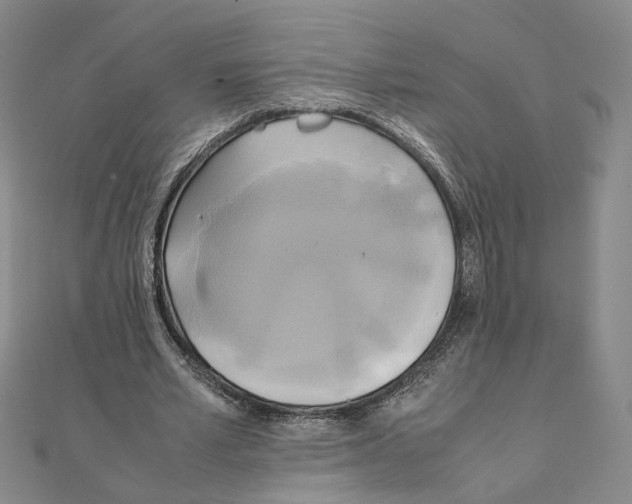 X0000111150581200907281134