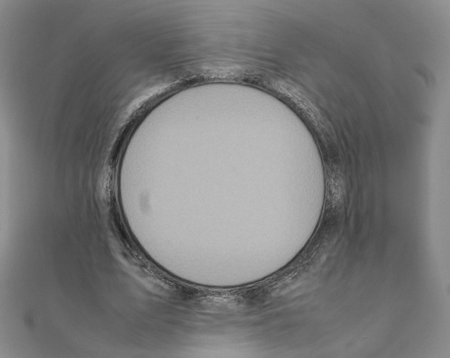 X0000111150583200907281134