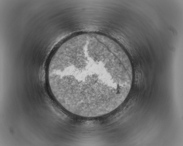 X0000111150584200907281134