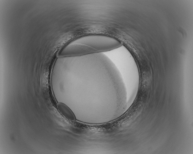 X0000111150585200907281134