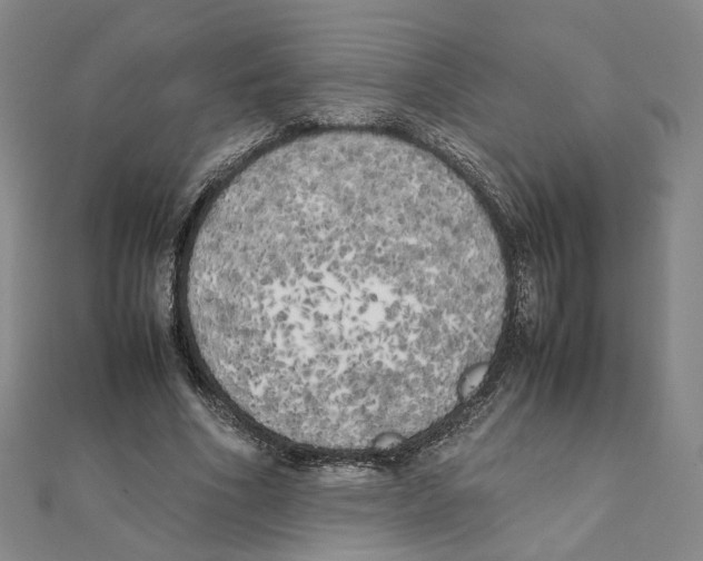 X0000111150586200907281134