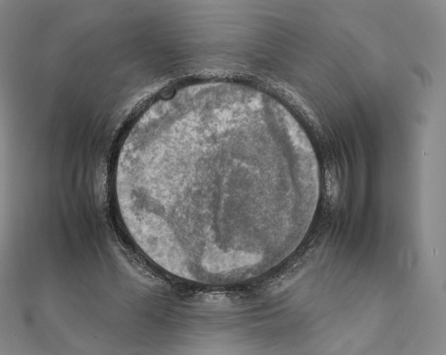 X0000111150588200907281134