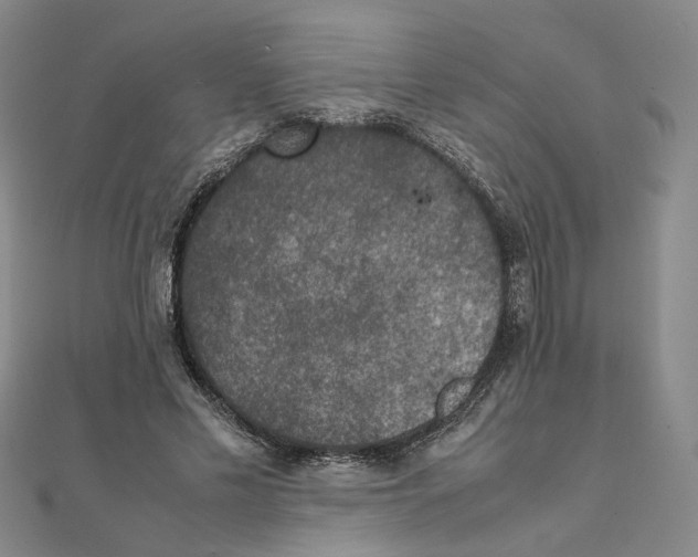 X0000111150589200907281134