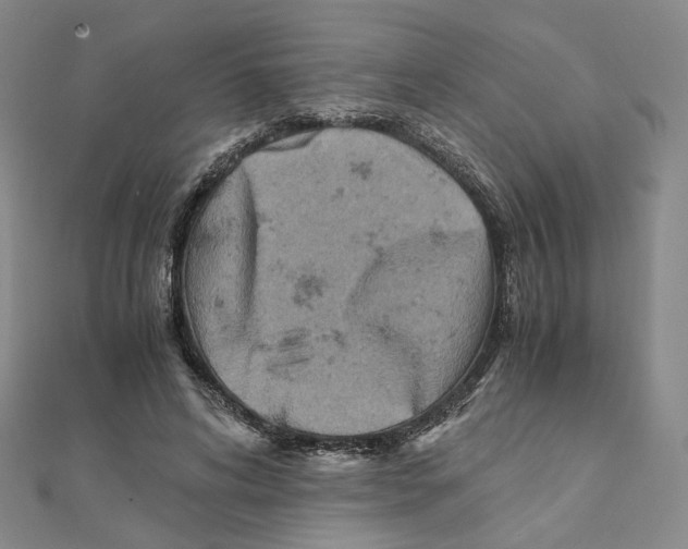 X0000111150592200907281134