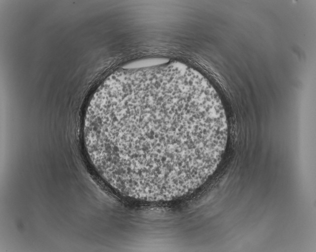 X0000111150593200907281134