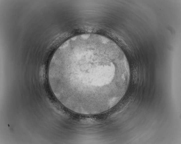 X0000111150594200907281134