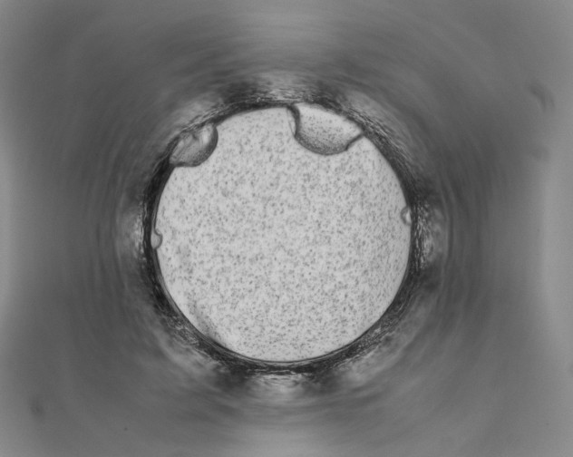 X0000111150595200907281134