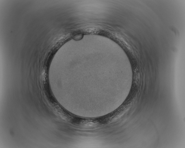 X0000111150597200907281134