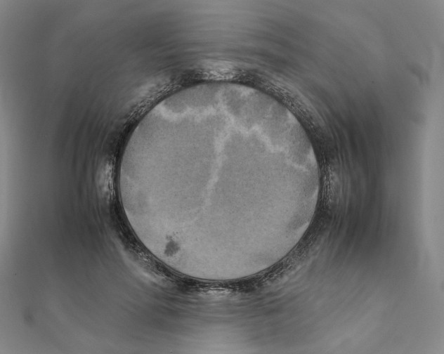 X0000111150598200907281134