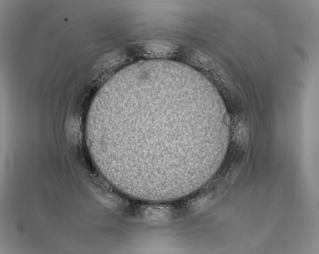 X0000111150599200907281134