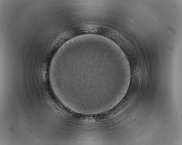 X0000111150600200907281134