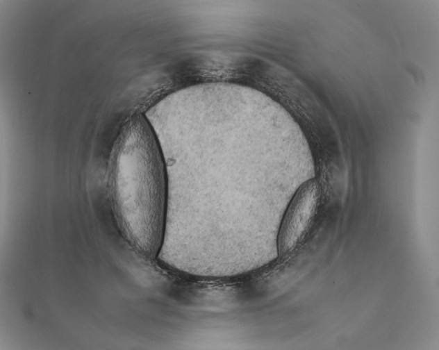 X0000111150601200907281134