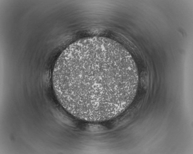 X0000111150605200907281134