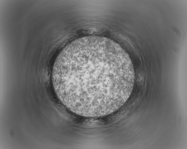 X0000111150607200907281134