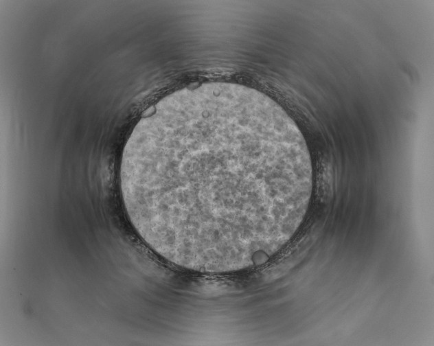 X0000111150608200907281134