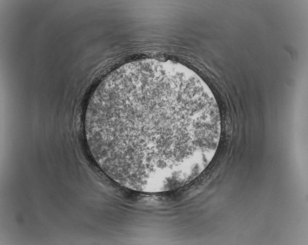 X0000111150611200907281134