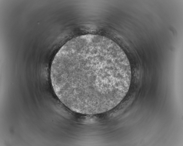 X0000111150612200907281134