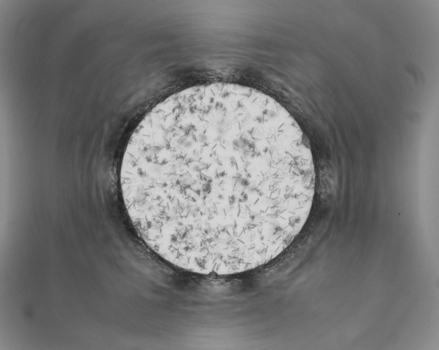 X0000111150613200907281134