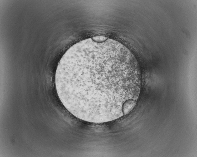 X0000111150615200907281134