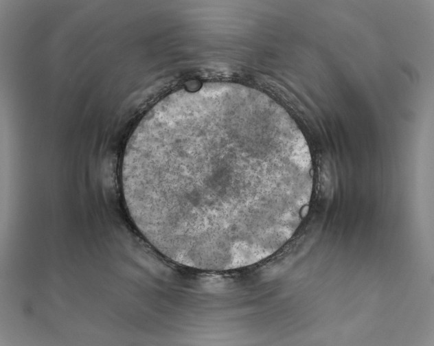 X0000111150616200907281134