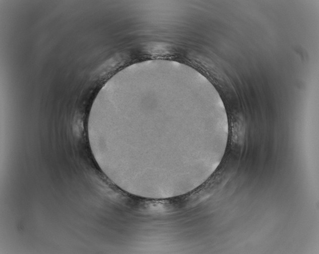 X0000111150618200907281134