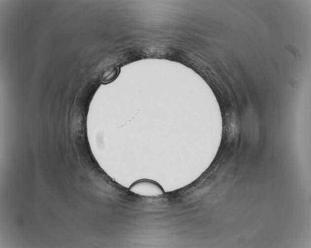 X0000111150619200907281134