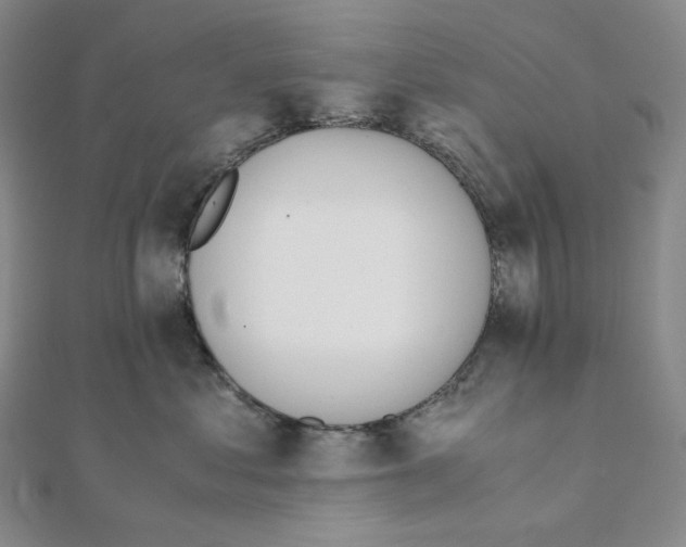 X0000111150621200907281133