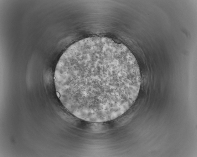 X0000111150623200907281133