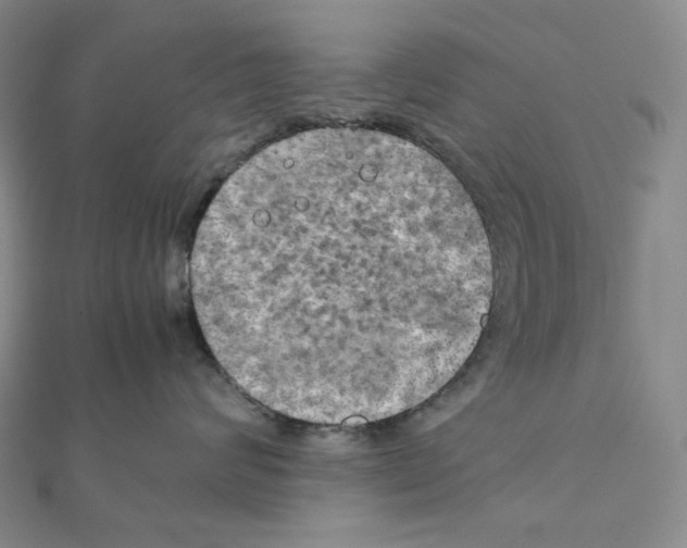 X0000111150624200907281133