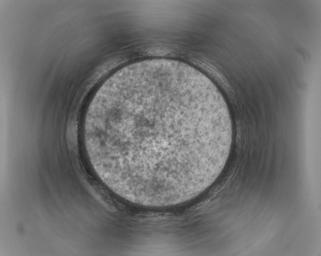 X0000111150626200907281133