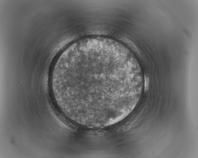 X0000111150627200907281133