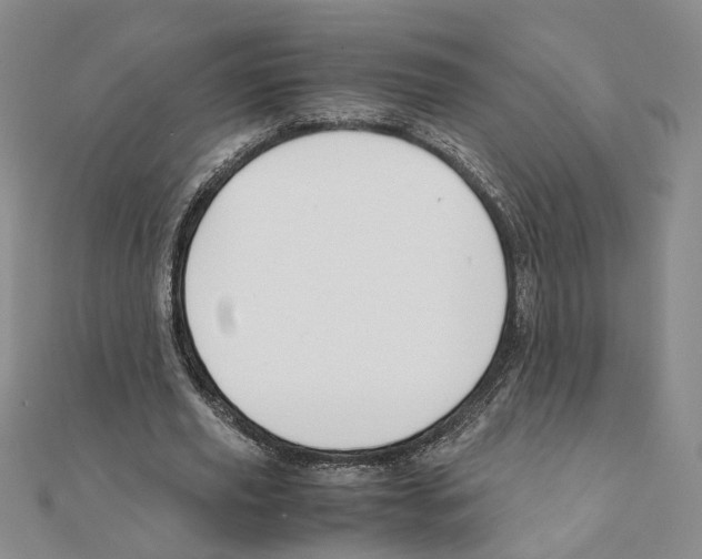 X0000111150629200907281133