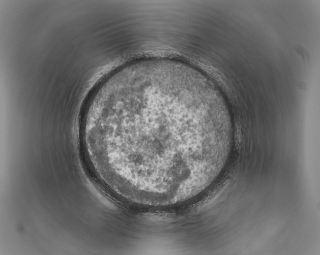 X0000111150630200907281133