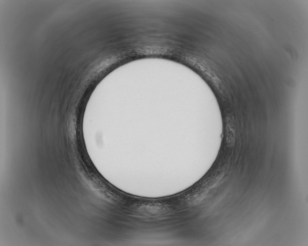 X0000111150631200907281133