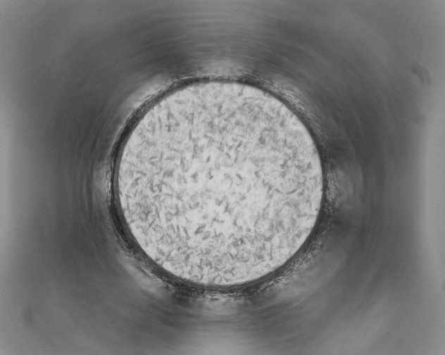 X0000111150632200907281133