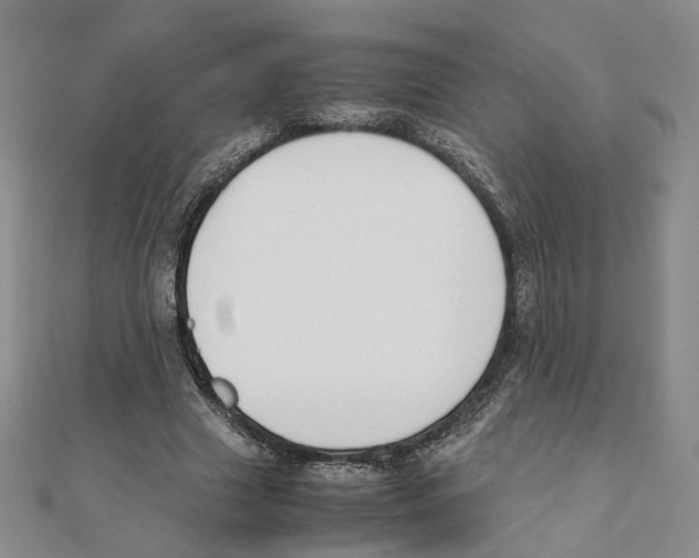 X0000111150633200907281133