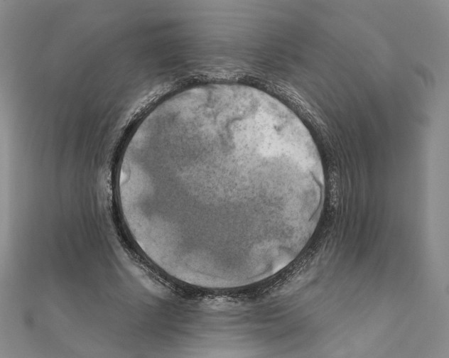 X0000111150634200907281133