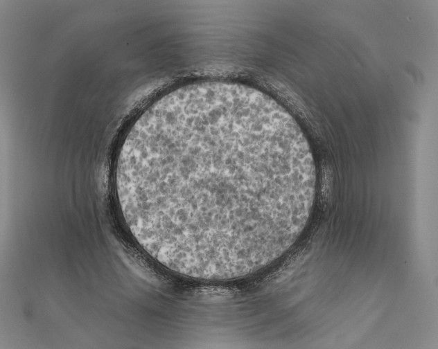 X0000111150636200907281133