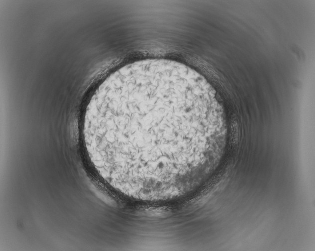 X0000111150638200907281133