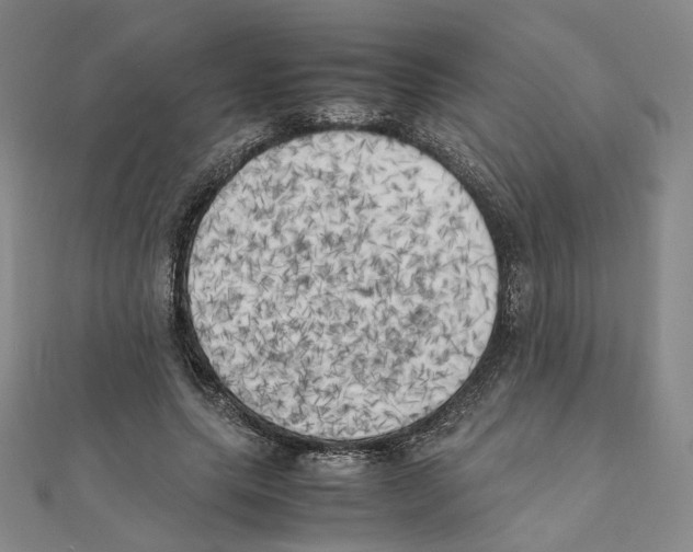 X0000111150639200907281133