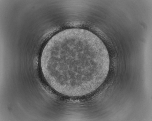 X0000111150640200907281133