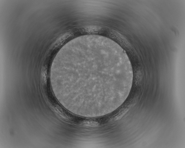 X0000111150644200907281133