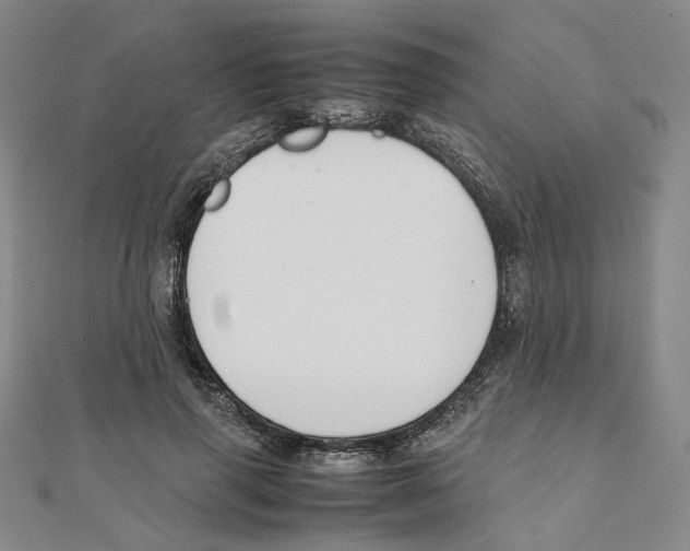 X0000111150645200907281133