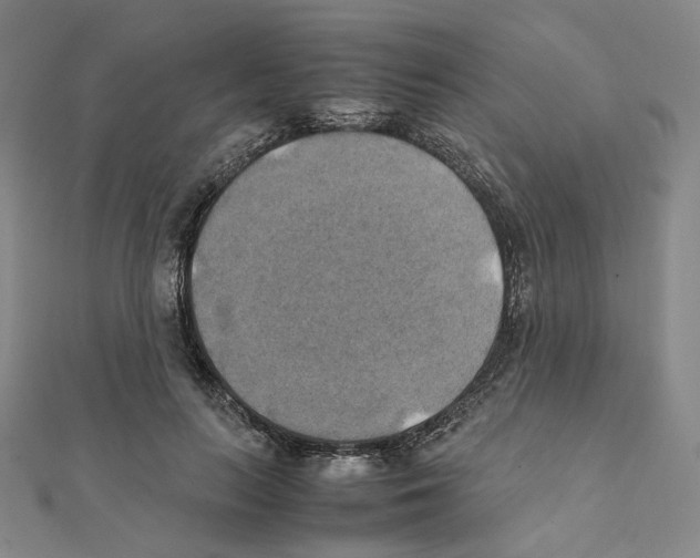 X0000111150647200907281133