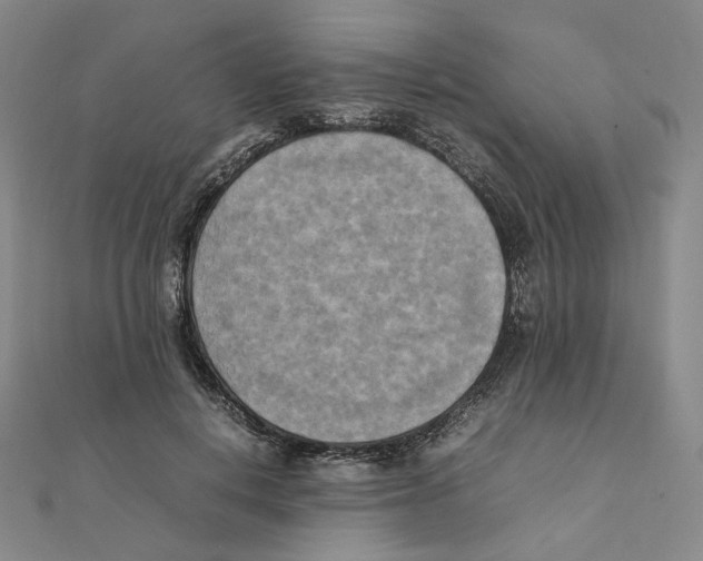 X0000111150648200907281133