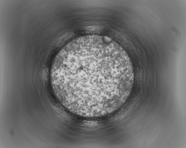 X0000111150649200907281133