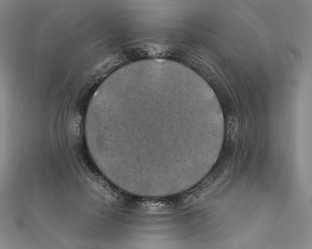 X0000111150650200907281133