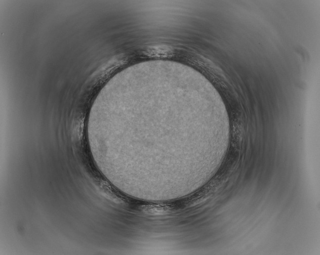 X0000111150652200907281133