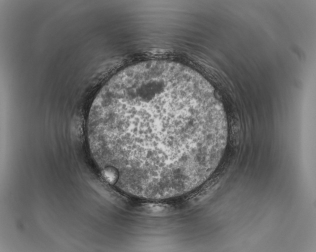 X0000111150654200907281133