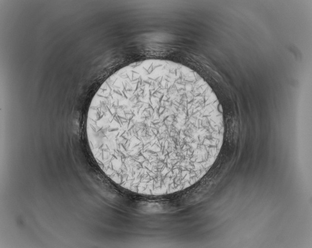 X0000111150655200907281133